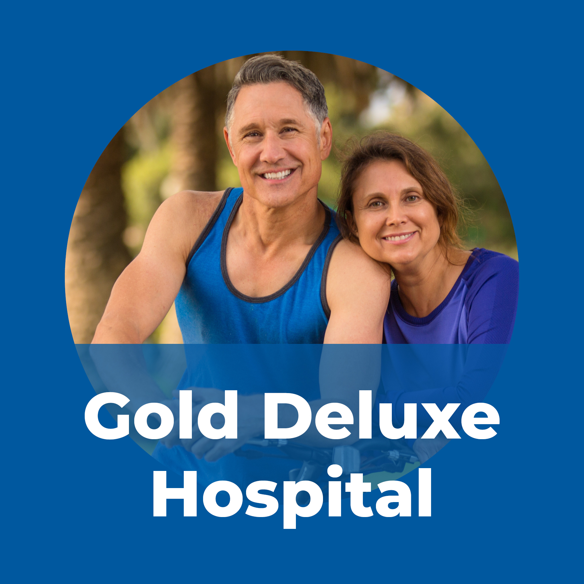 Gold Deluxe Hospital